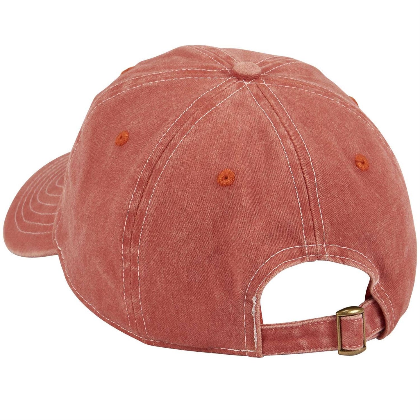 Absolutely Not Baseball Cap