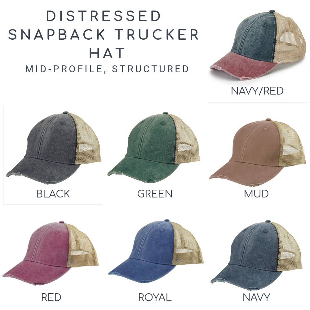 Mississippi Embroidered Distressed Hat