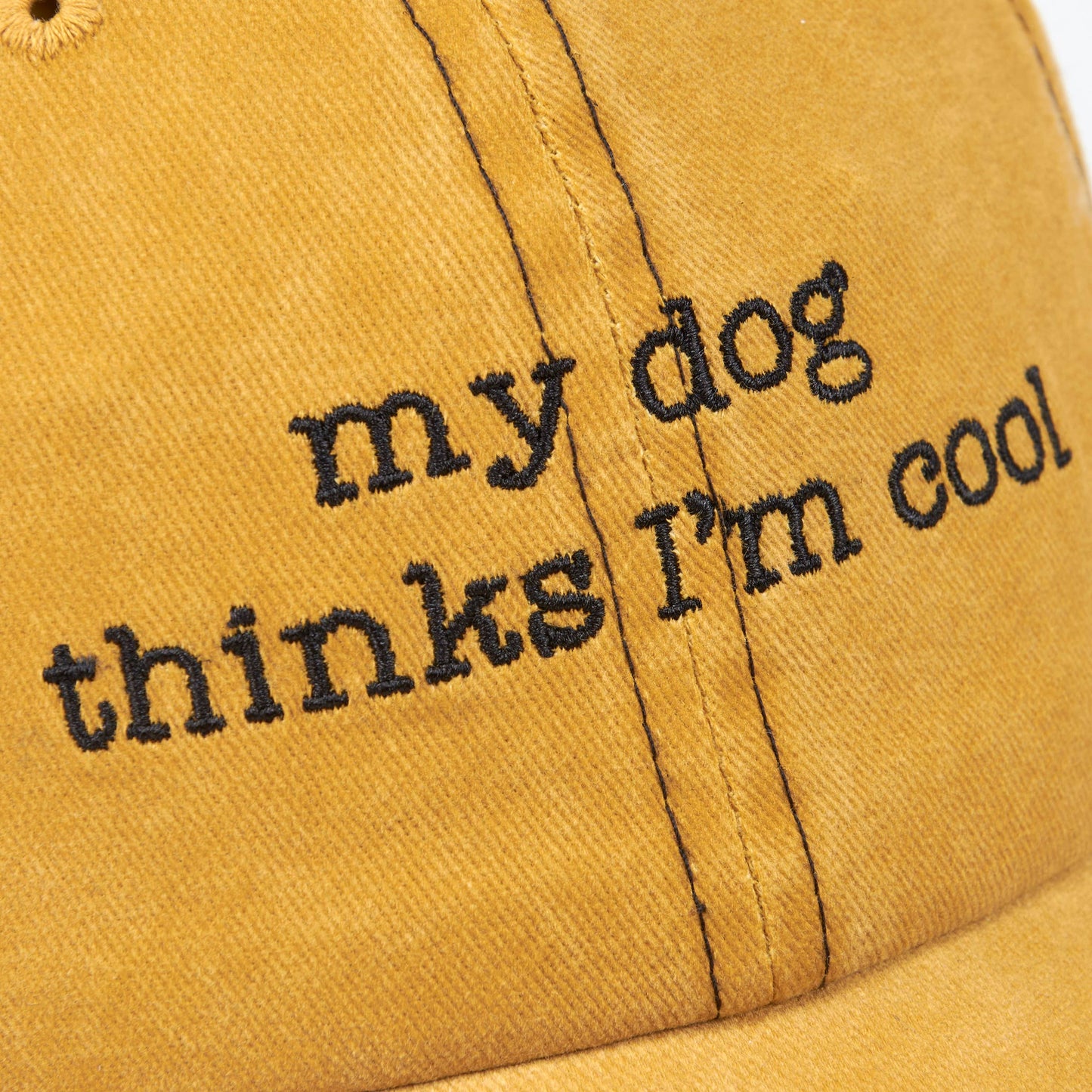 My Dog Thinks I'm Cool Hat