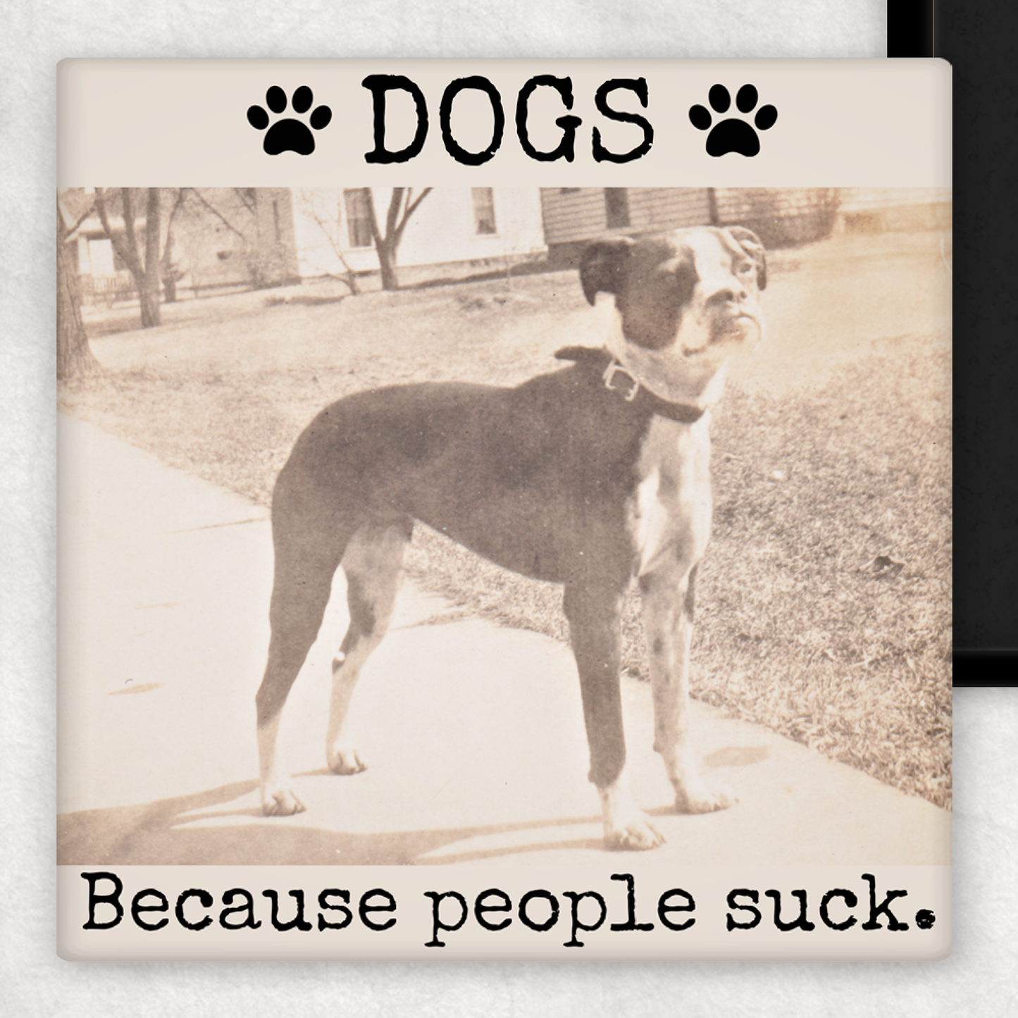 DOGS. Because magnet